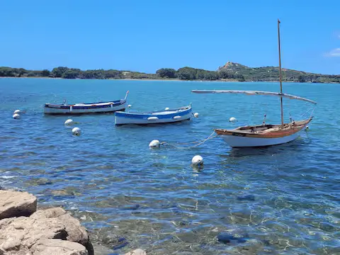 présentation le brusc